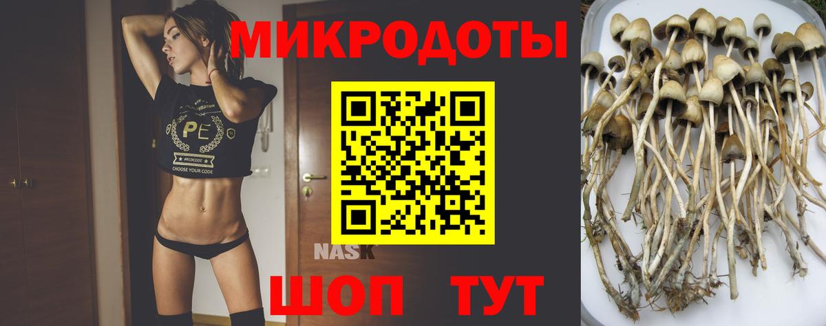 Череповец  Галлюциногенные грибы Psilocybine cubensis  Вход с VPN  Галлюциногенные грибы Psilocybine cubensis 